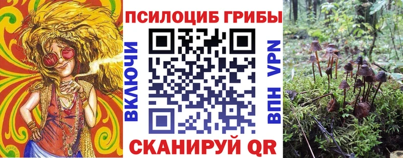кракен Голицыно Псилоцибиновые грибы Psilocybine cubensis